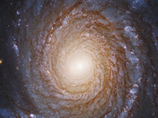 Geometry & the Order of Nature (2026)