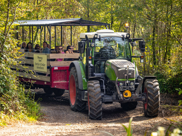 The Pumpkin Field Tractor Adventure