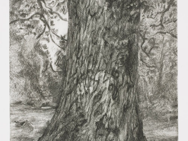 Drawing Workshops with Annie Freud