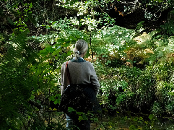 Shinrin Yoku – Nature Mindfulness