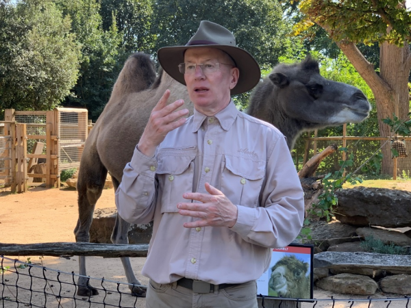 British Sign Language (BSL) Tour (London)