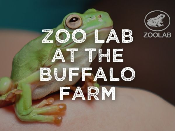 ZooLab at The Buffalo Farm