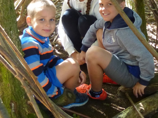 Wild wood adventure day