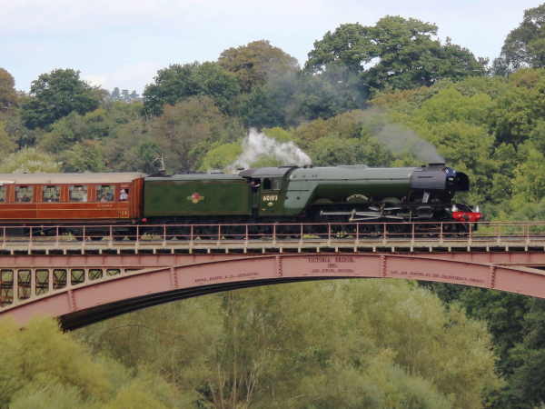 Flying Scotsman (Friday)