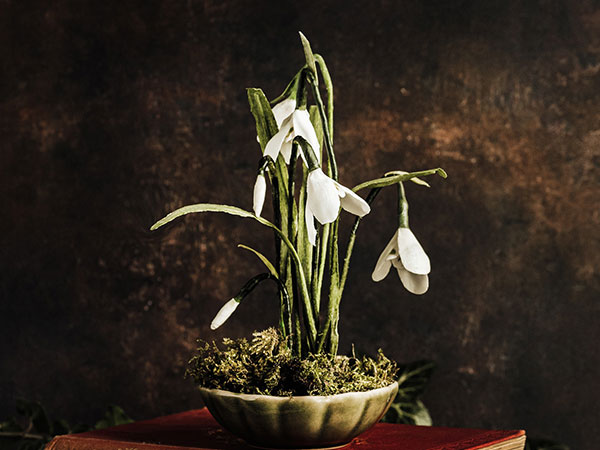 Wax Paper Snowdrops 2025