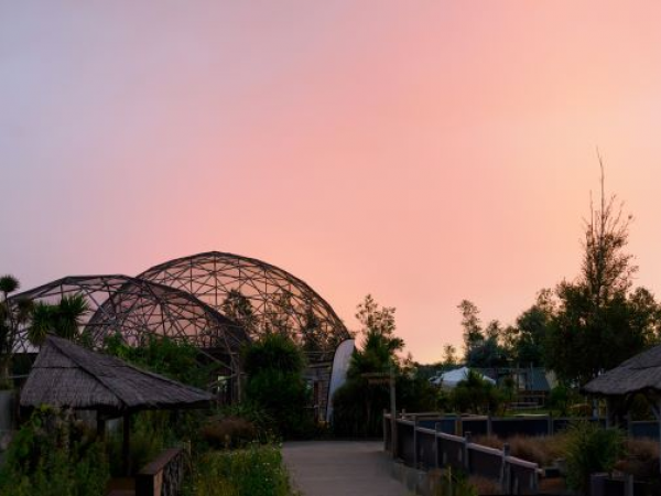 Twilight Safaris!