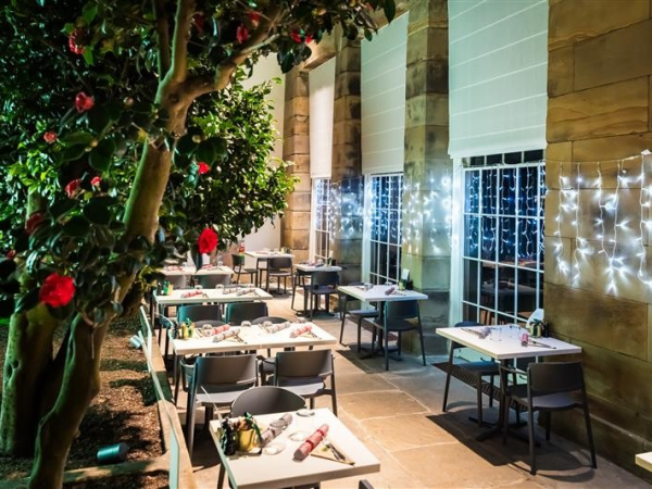 Christmas at The Camellia House