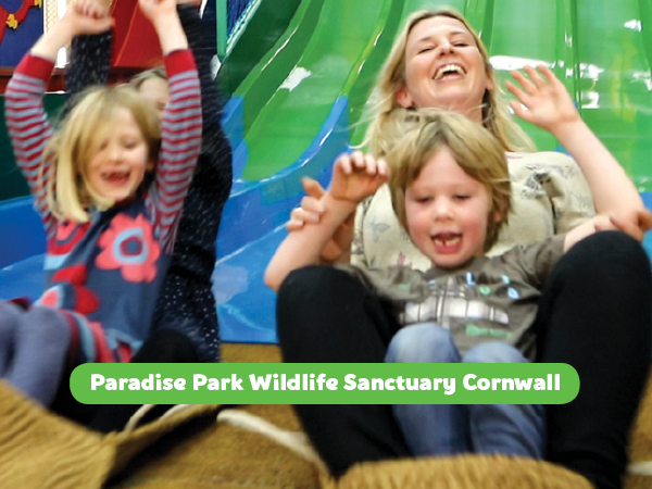 JungleBarn Late Afternoon Play Only Session - Winter