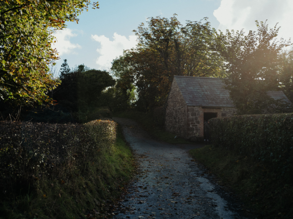 Teen Nature Recorders Workshop