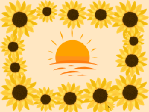 Sunday 9th Aug - Sunset Sunflower Bar