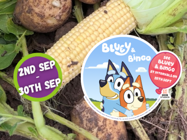 2025 - Autumn weekdays & Potato shindig weekends (1st Sep - Oct 5th) - Bluey & Bingo visiting Sept 20th!