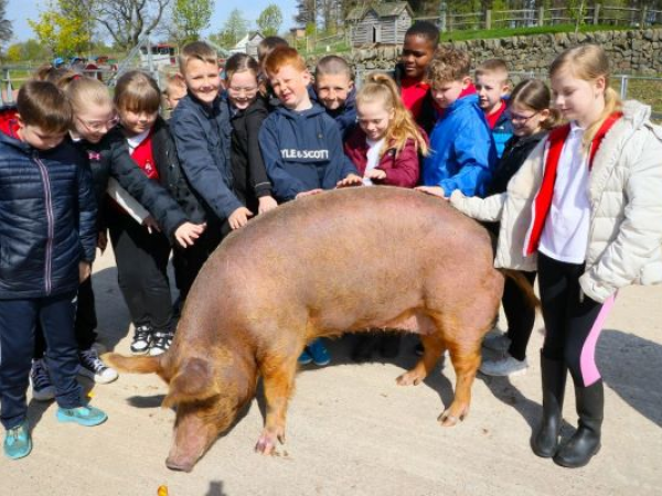 Valentin's Farm Education Workshops - Autumn/Winter 2025