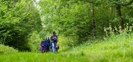 Walk & Talk: Our Ancient Woodlands