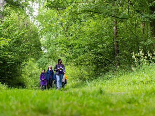 Walk & Talk: Our Ancient Woodlands