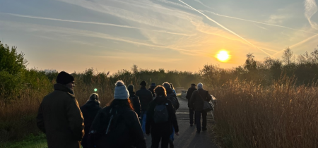 Winter Bird Walk (London)