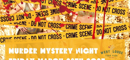 Murder Mystery Night - STABBA - March 28th