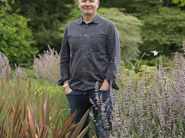 Great plants for every garden – and how to use them