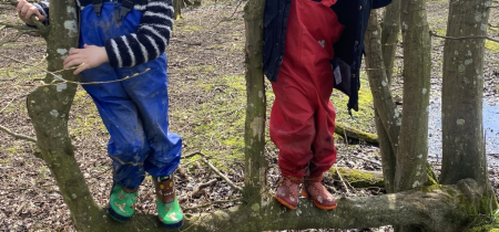 Forest School