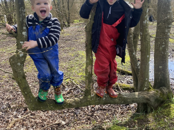 Forest School