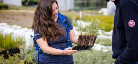 Tree Nursery Tour