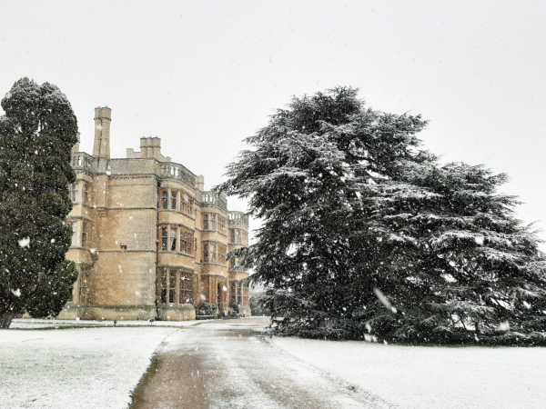 MURDER MYSTERY: CHRISTMAS SPECIAL