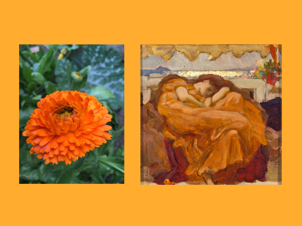Family Fun (5-10yrs): Flaming June and the Colour Orange