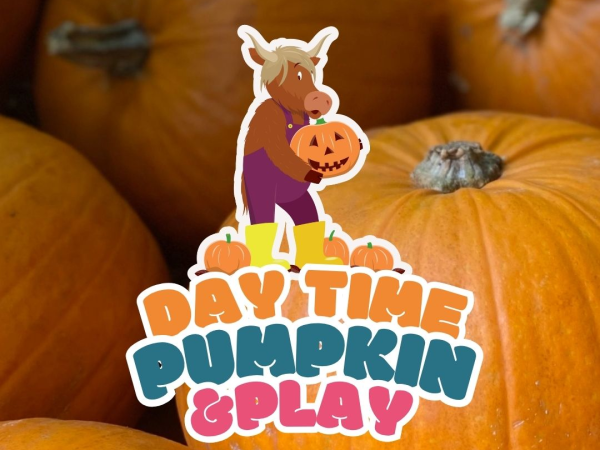 Pumpkin & Play Sessions