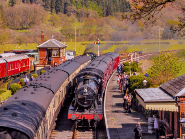 Paddington Visits! Train Tickets (Denbighshire)