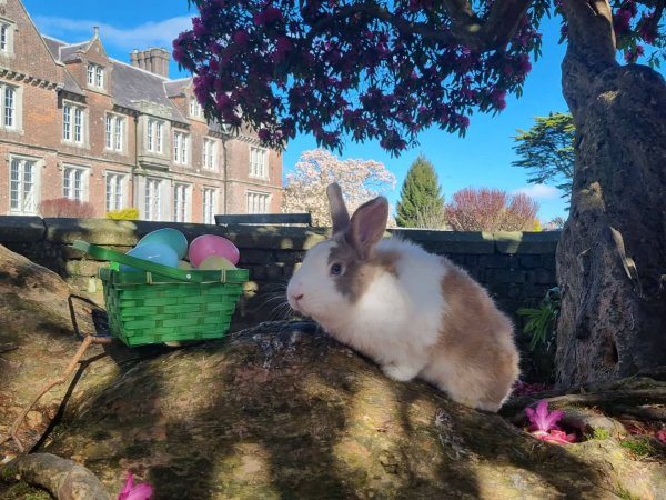 Wells Easter Hunt 2025