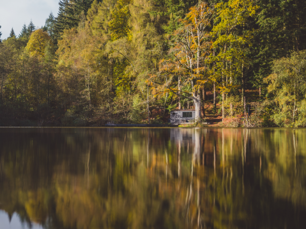 Wild Swim & Sauna Session at Solstice