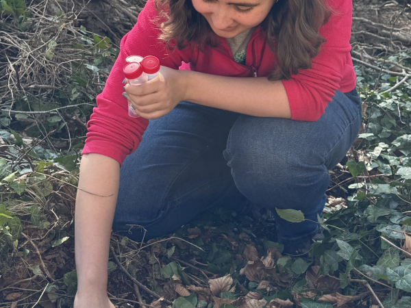 Earthworm Sampling Day at Colin Glen