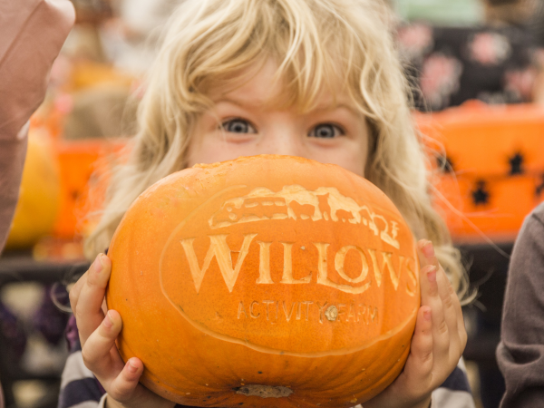 Pumpkin Festival 2025