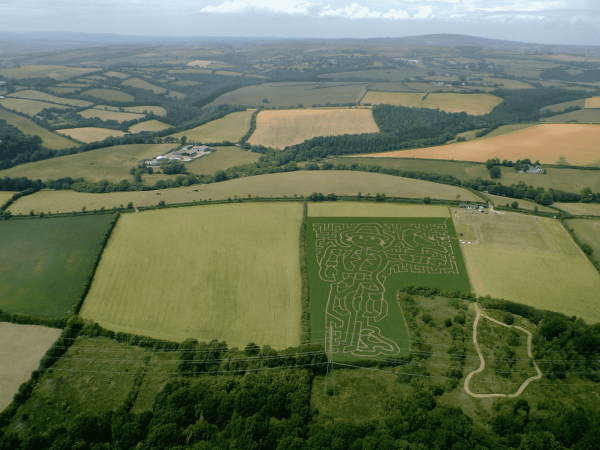 Summer Maze and Fun Farm 2026