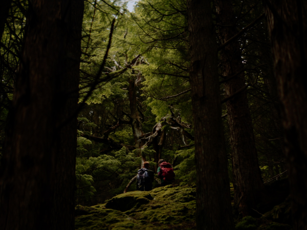 Homecoming Presents: The Pine Hunters