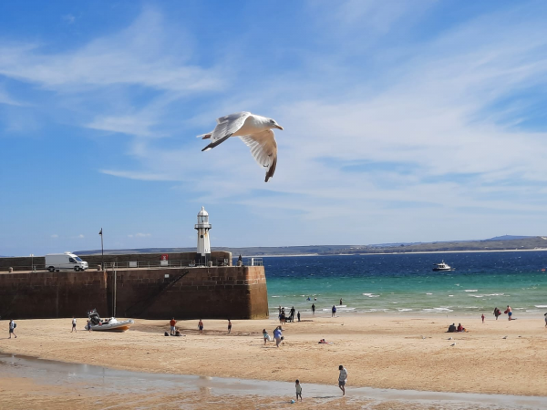 Cornish Outdoor Childhood Conference