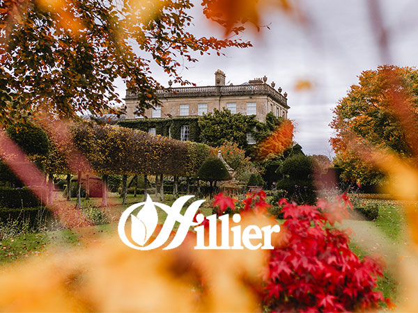 Hilliers Exclusive Autumn Walks 2025