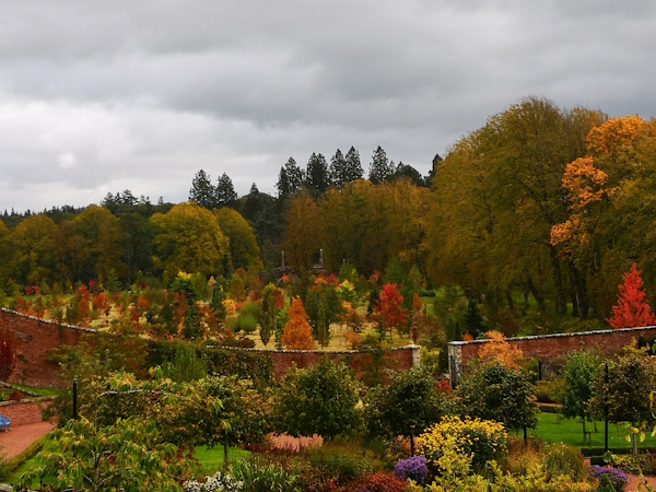 Dumfries House Guided Walks - Gardens Walk