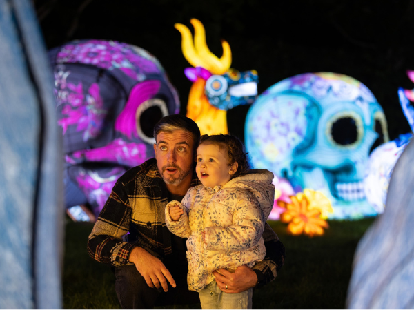 Wild Lights 2026