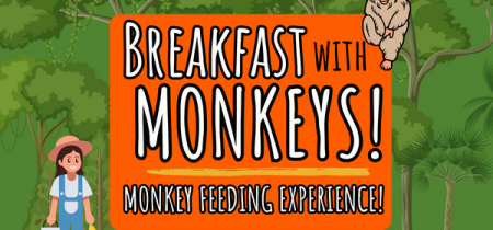 Breakfast With Monkeys VIP Experience