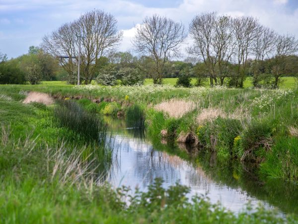 Wetlands and Weaving Workshop (Heritage Open Days 2026)