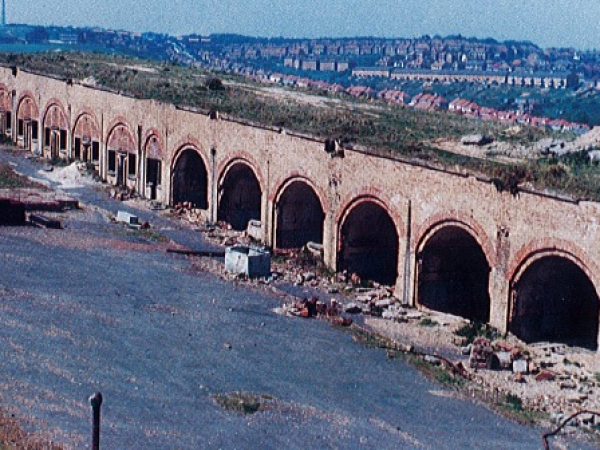 The Rebirth of the Fort Newhaven