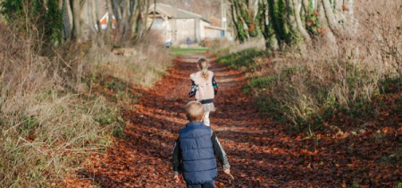 Fall Fun on the Farm - 4th - 29th November