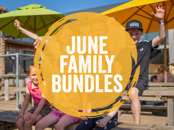 Family Bundles (Fridays) June Selected Dates - 12 |19 | 26