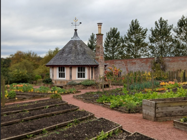 Garden Summer Workshop - Soil to Scone - Harvesting & Baking with Produce