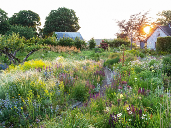 An Evening with Peter Korn and John Little