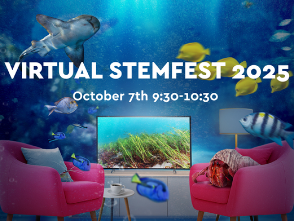 Virtual STEMFest - Ocean Friendly Homes