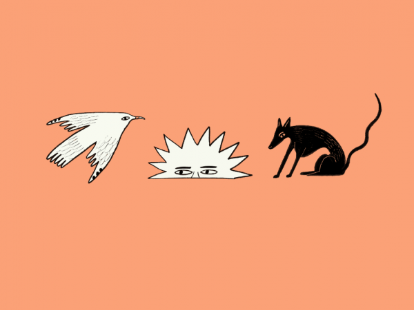 a sketch illustration of a bird, rising sun, and dog, on orange background