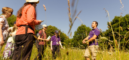 Workshop: Bug Hunting for Adults