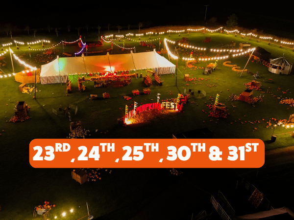 Night Time Pumpkin Festival