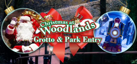 Christmas Grotto & Park Admission 2024